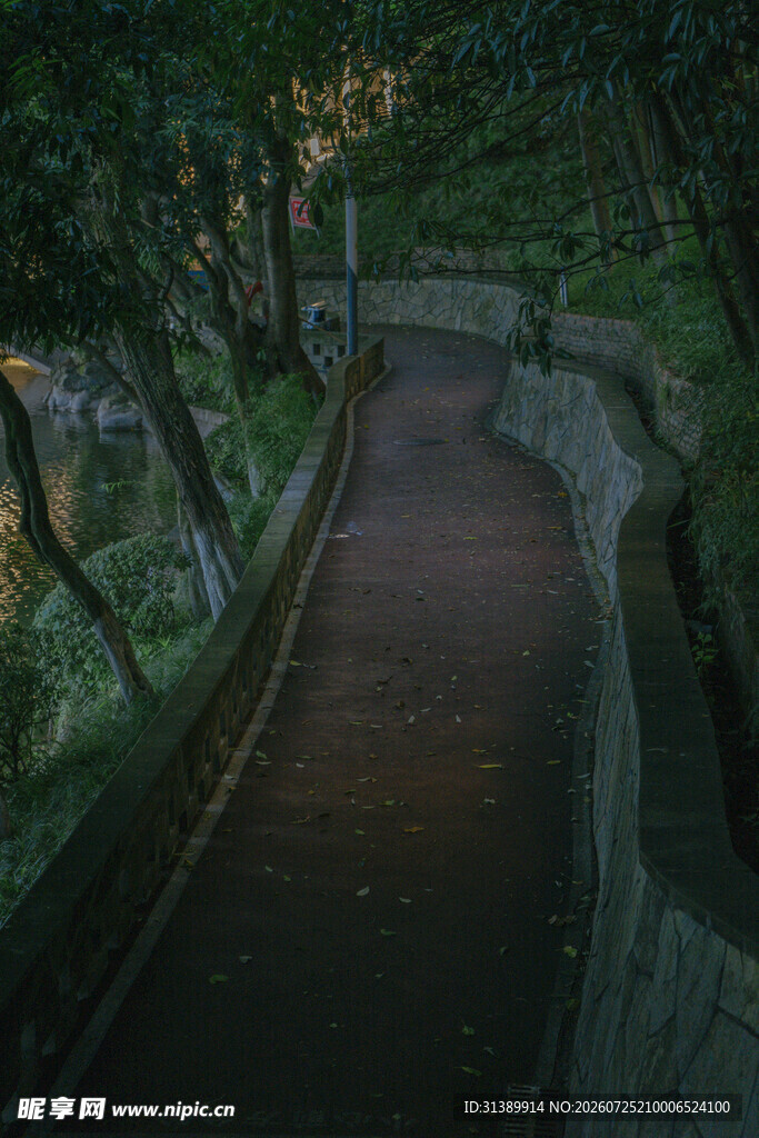 林间幽静步道
