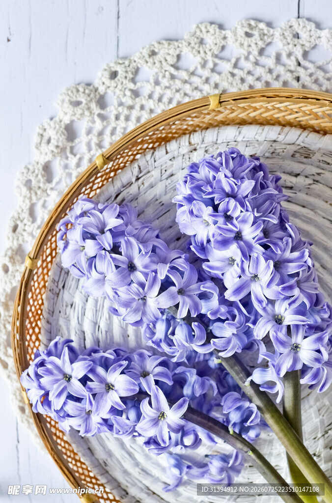 篮中风信子淡雅芬芳
