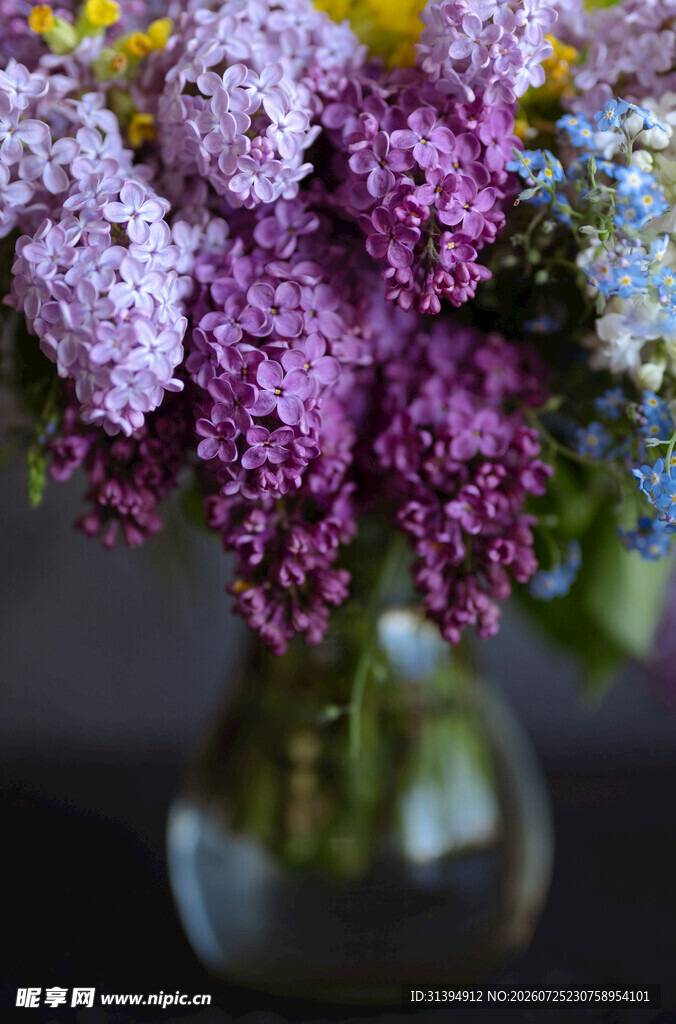 花瓶中的多彩丁香花束
