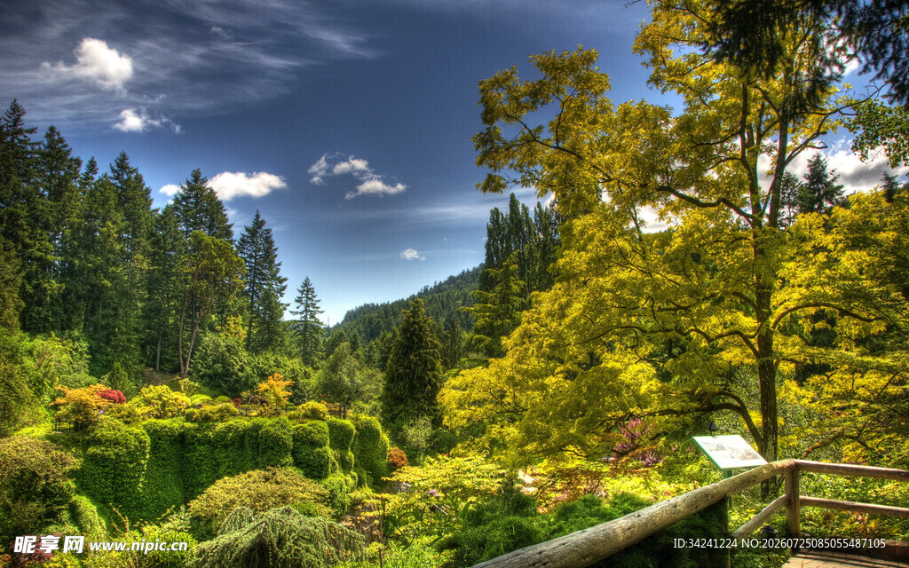 山林间的多彩美景