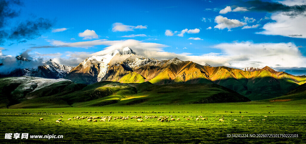 壮丽草原雪山美景