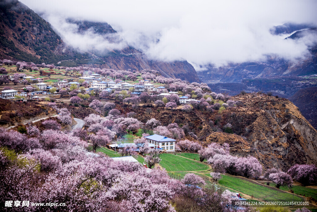 春日山间烂漫桃花村落