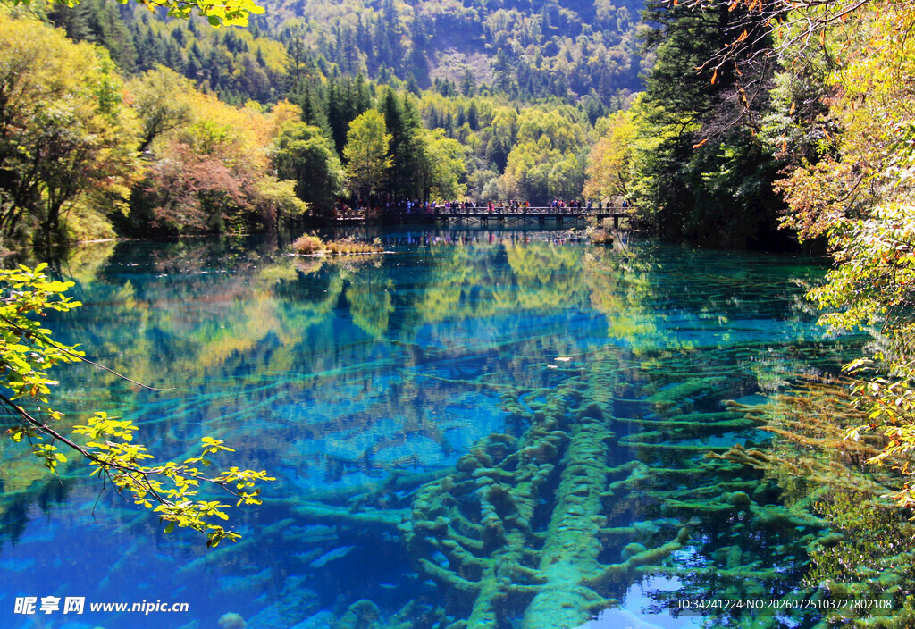 梦幻蓝湖山林环绕之景