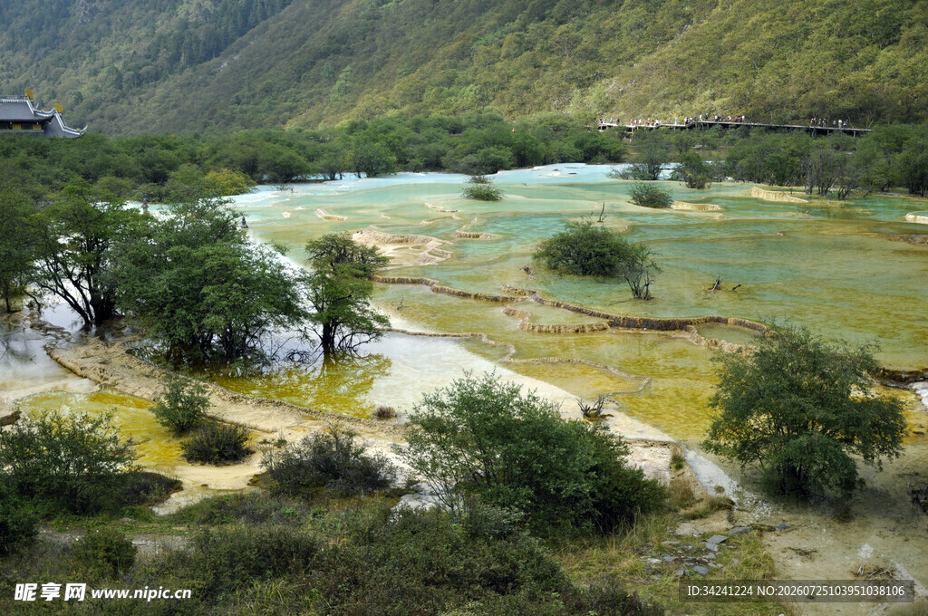 山间秀丽河谷风光