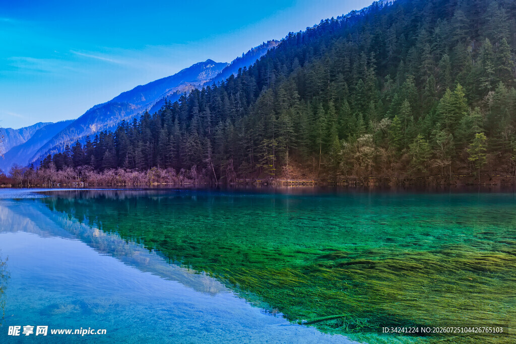 美丽清澈的山间湖泊景色