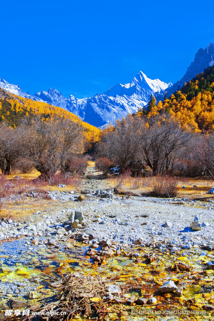秋日山间溪流美景