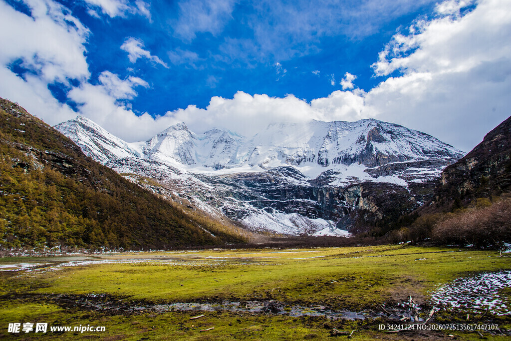 雪山下的翠绿山谷美景
