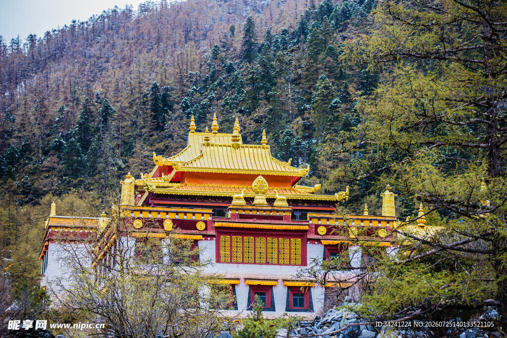藏式金顶寺庙山林间
