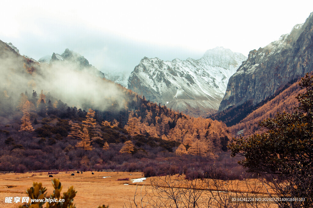 山间晨雾中的壮丽山脉景色