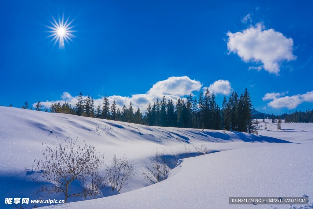 冬日雪域美景