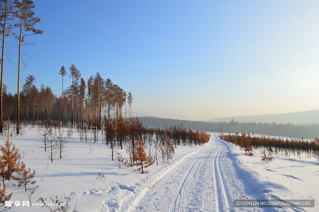 冬日雪路静谧山林风光