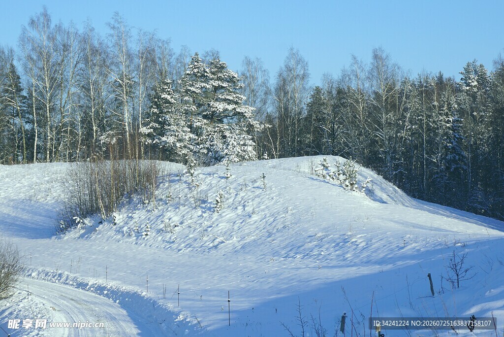 冬日雪覆山林美景