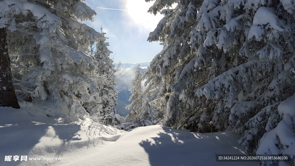 雪覆山林美景