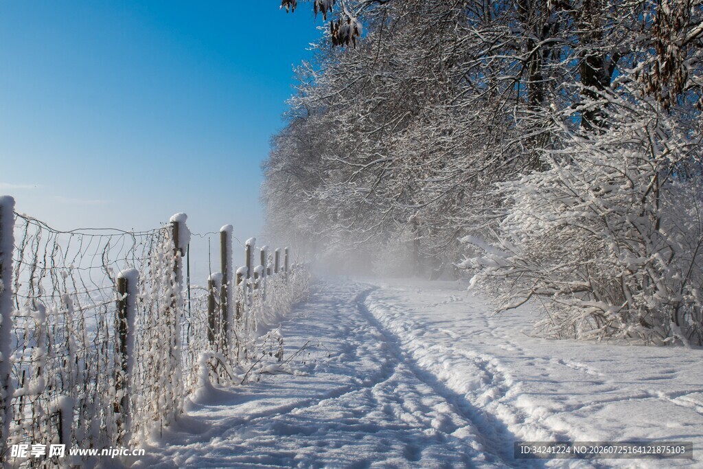 冬日雪后林间小路