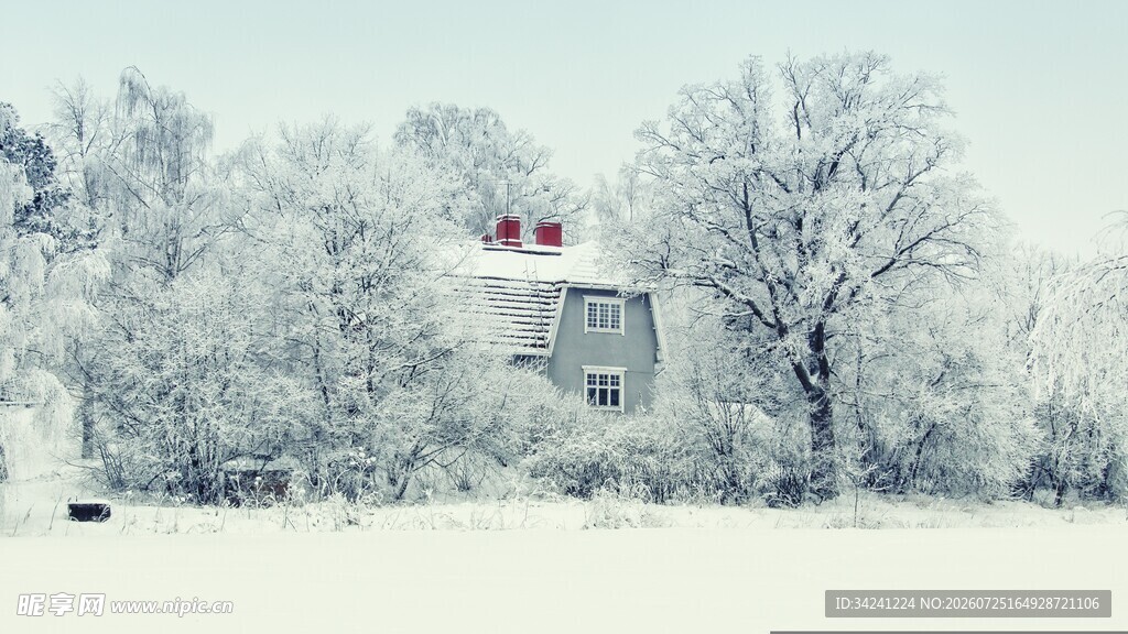 冬日雪景中的静谧小屋