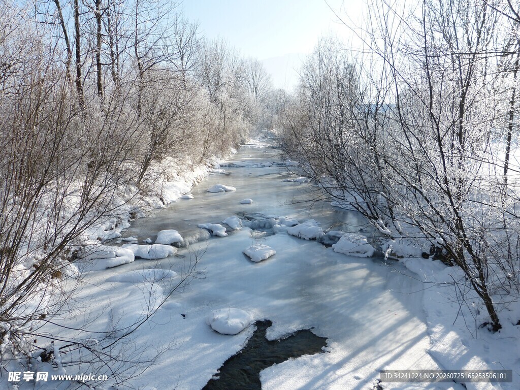 冬日雪覆溪流树林美景