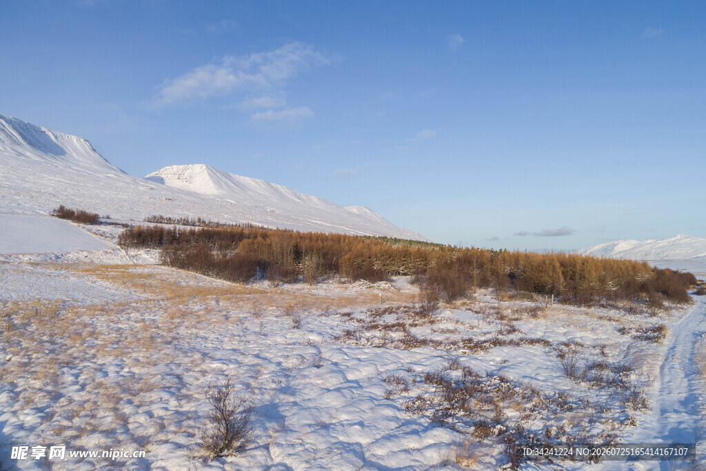 雪覆原野与远山美景