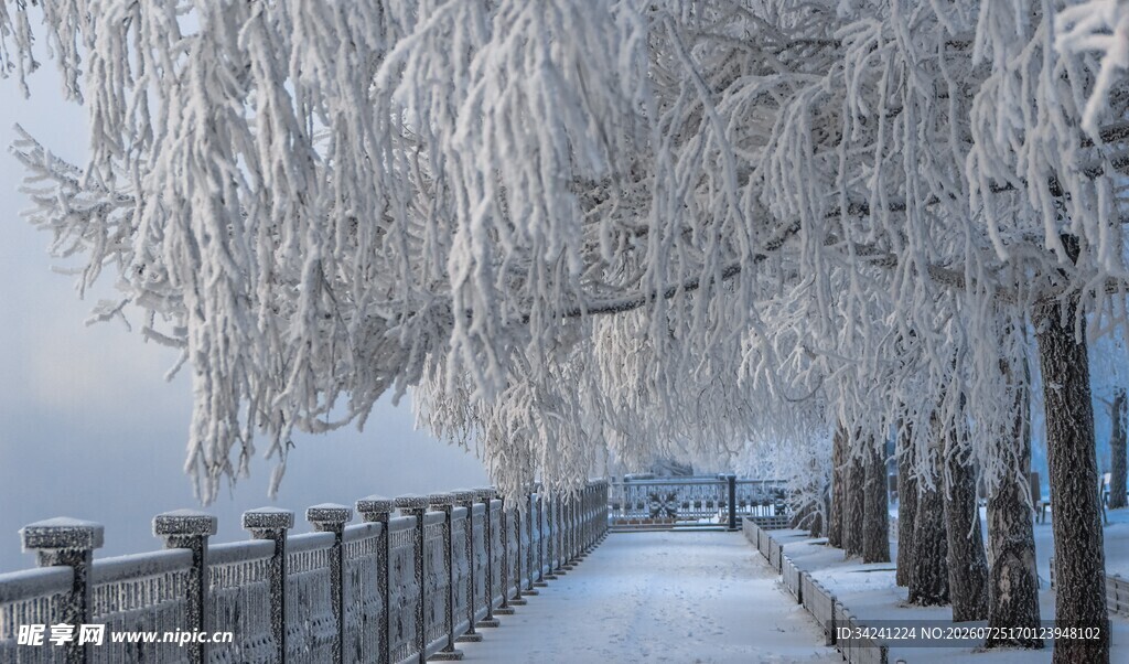 冬日雪景银装素裹的长廊
