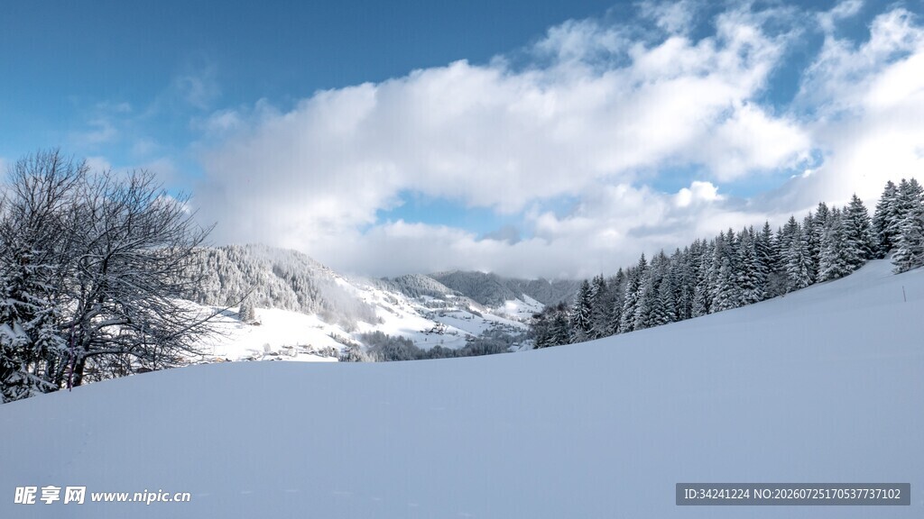冬日雪景银白山林风光
