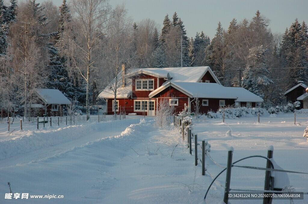 冬日雪中小屋静谧美景