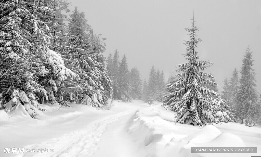 冬日雪景中的林间雪路