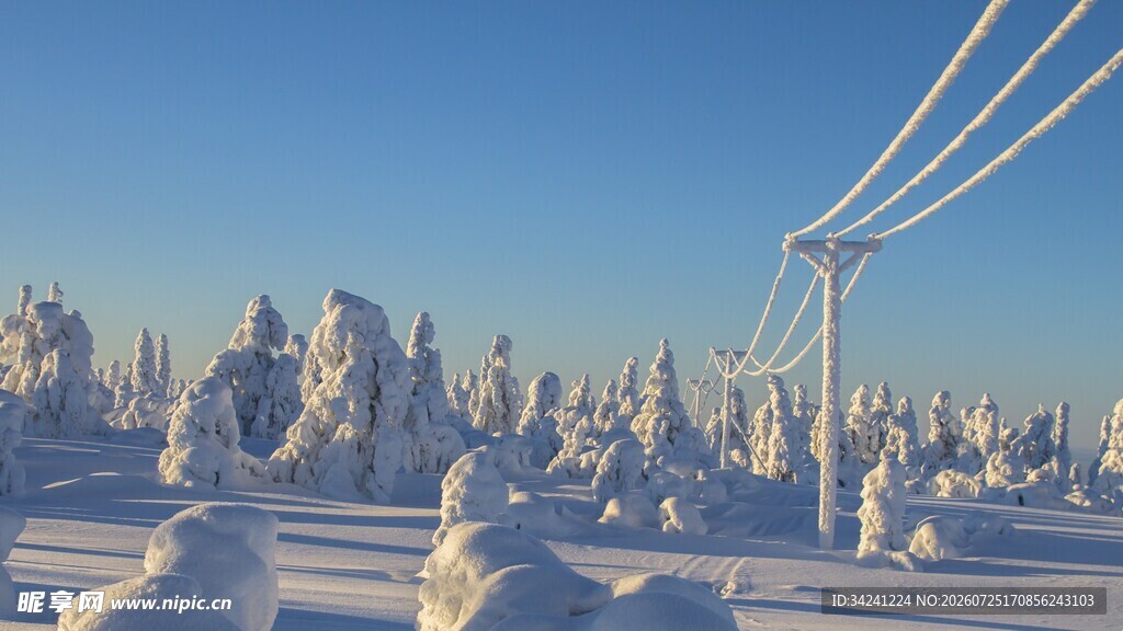 冬日雪覆山林输电场景