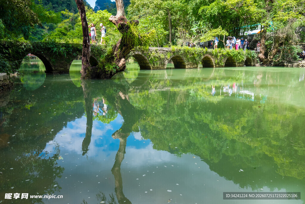 宁静湖水映绿树美景