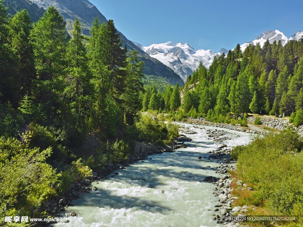 山间溪流伴葱郁森林美景