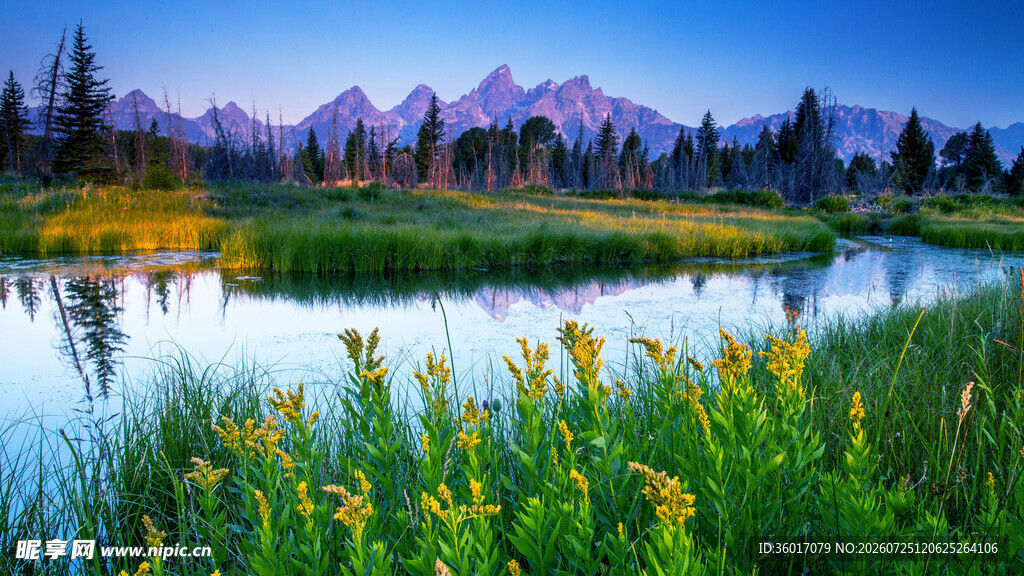 湖畔野花与远处山峦美景