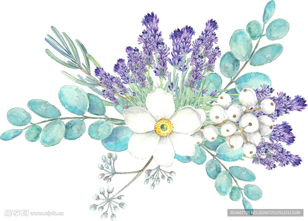 清新花卉插画