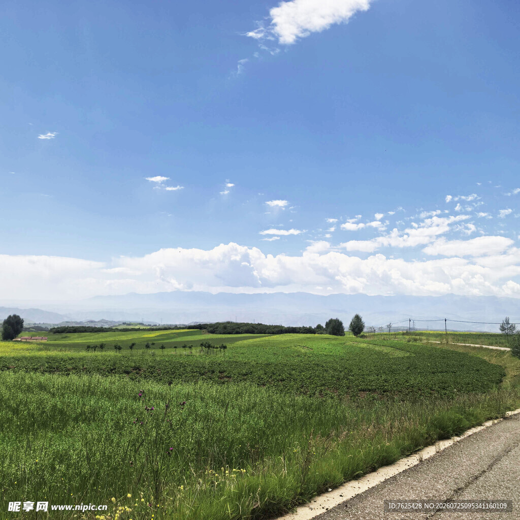 田野公路边的清新风光