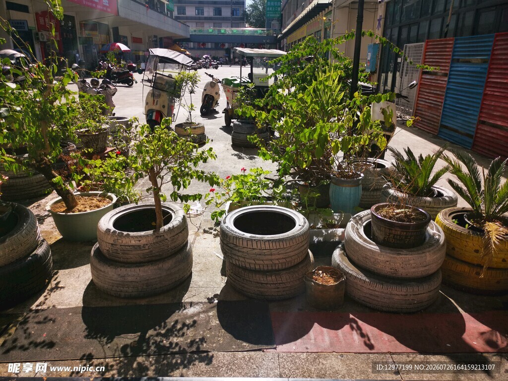 庭院中古朴的花盆与绿植