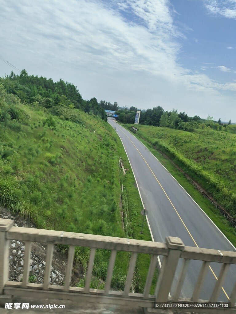 公路旁绿意盎然的田野风景