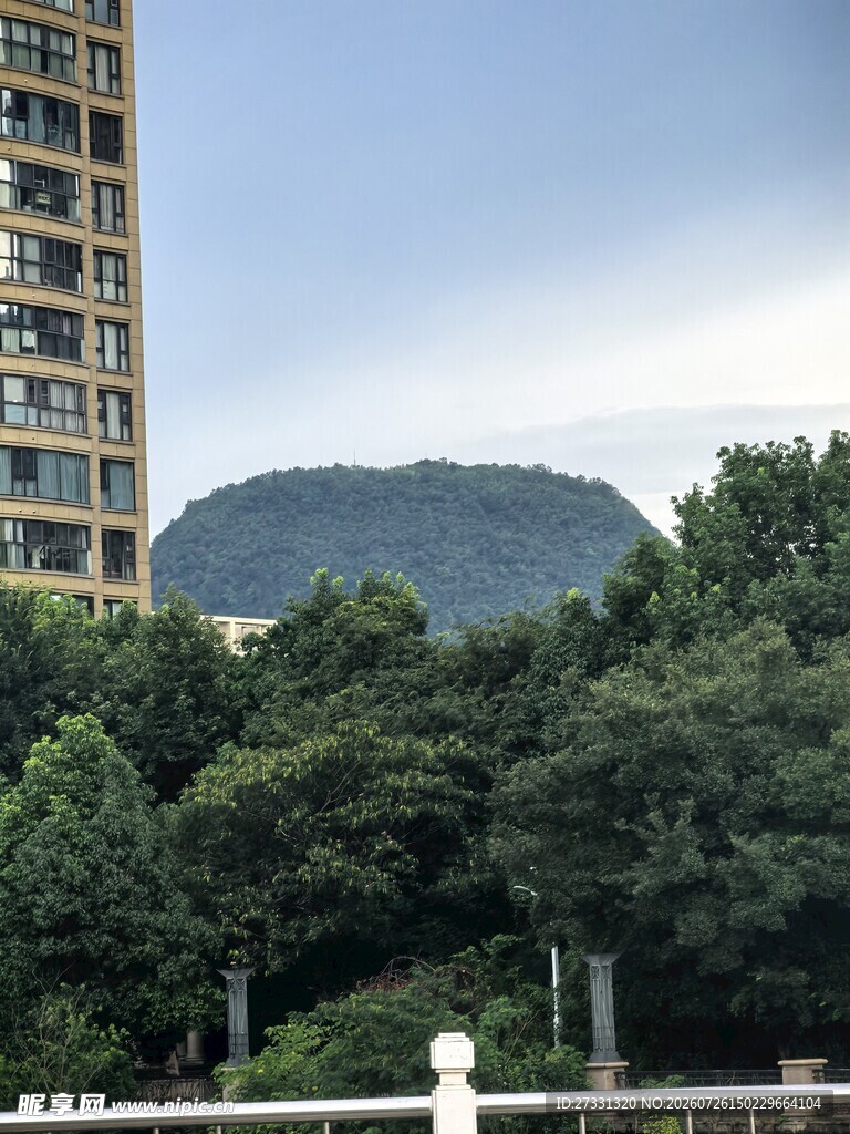 高楼旁绿树环绕的自然景致