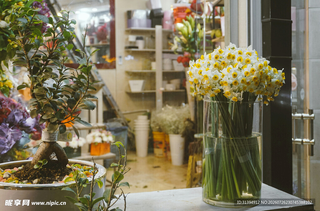 花店一角的清新花卉展示