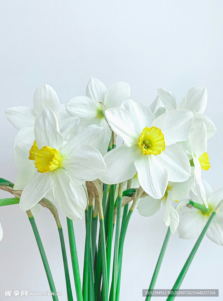 清新白色水仙花束