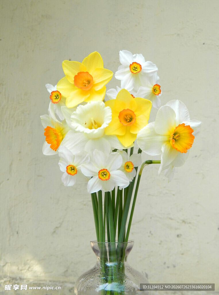 花瓶中的水仙与雏菊