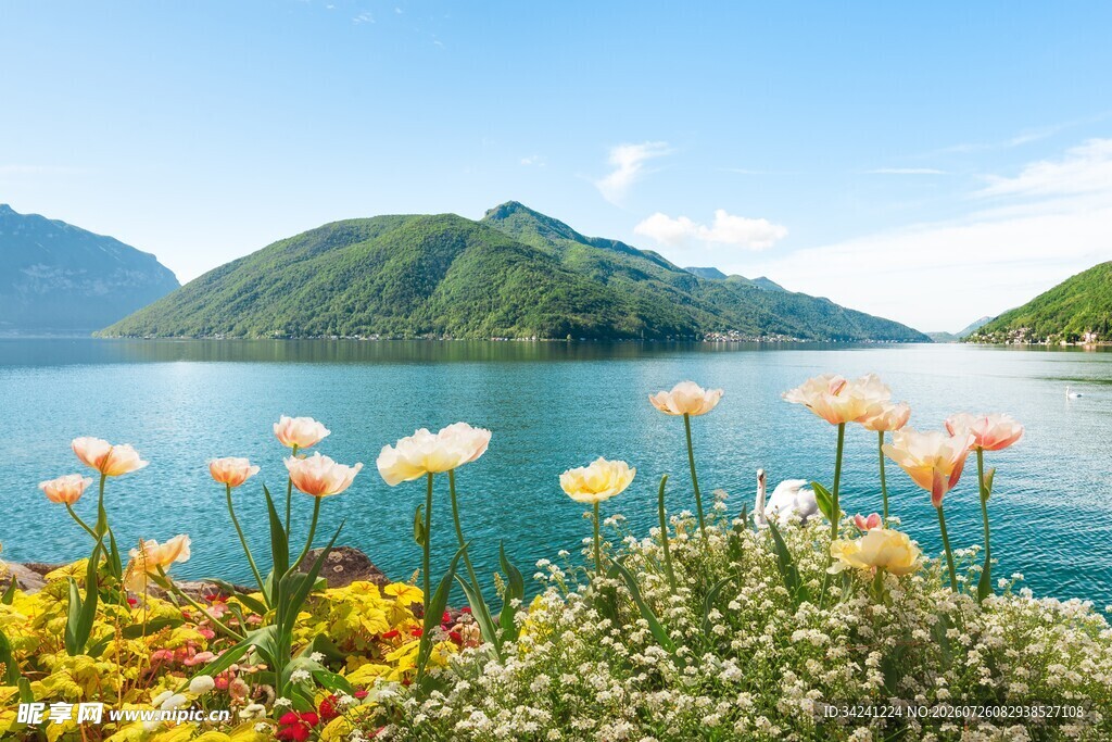 湖畔繁花与远山美景
