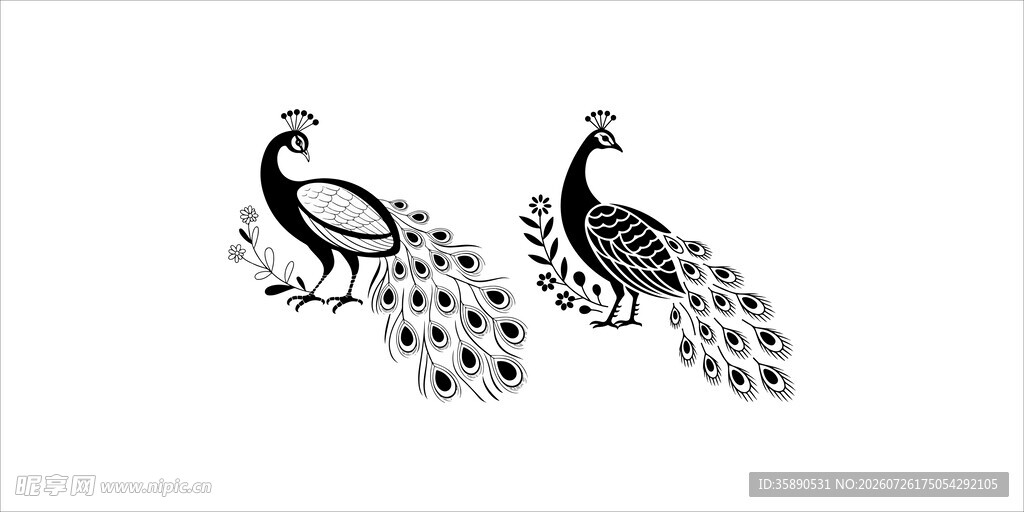 黑白孔雀图案