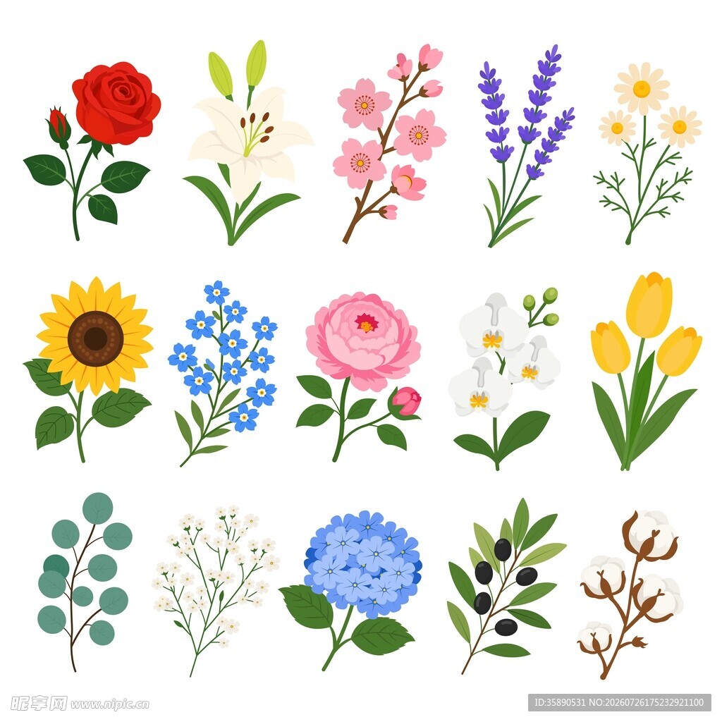 花卉素材合集