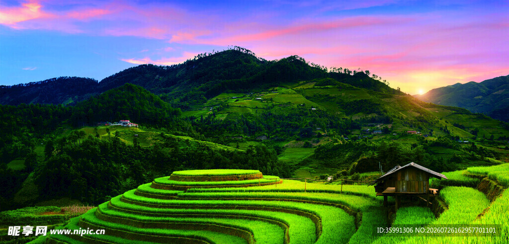 夕阳下的美丽梯田风光