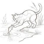 猫咪溪边抓鱼瞬间
