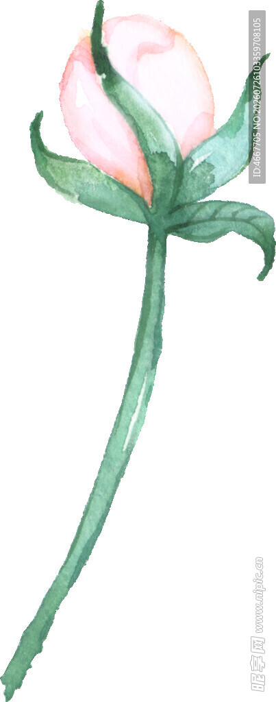 手绘粉色花朵