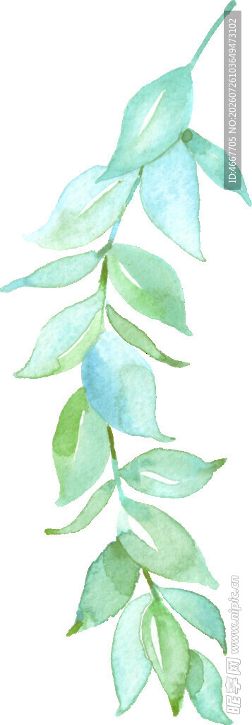 清新水彩风绿叶植物图