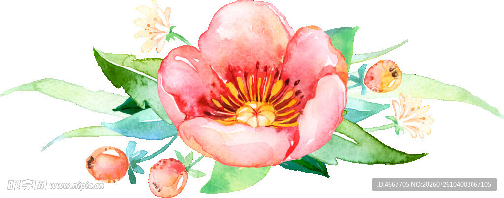 水彩绘粉色花卉插画