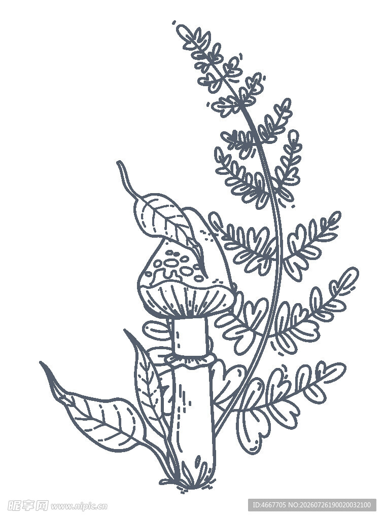 手绘蘑菇与蕨类植物图