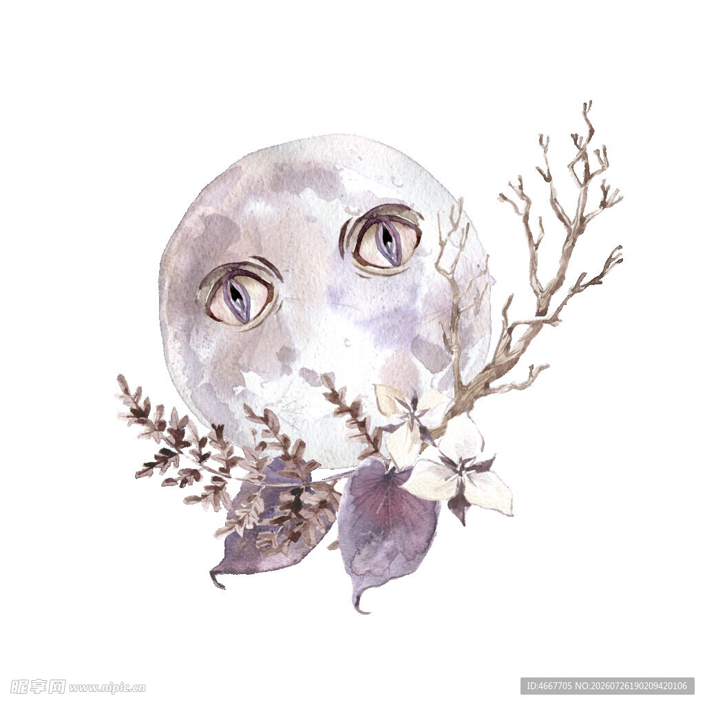 梦幻月亮与枝叶插画