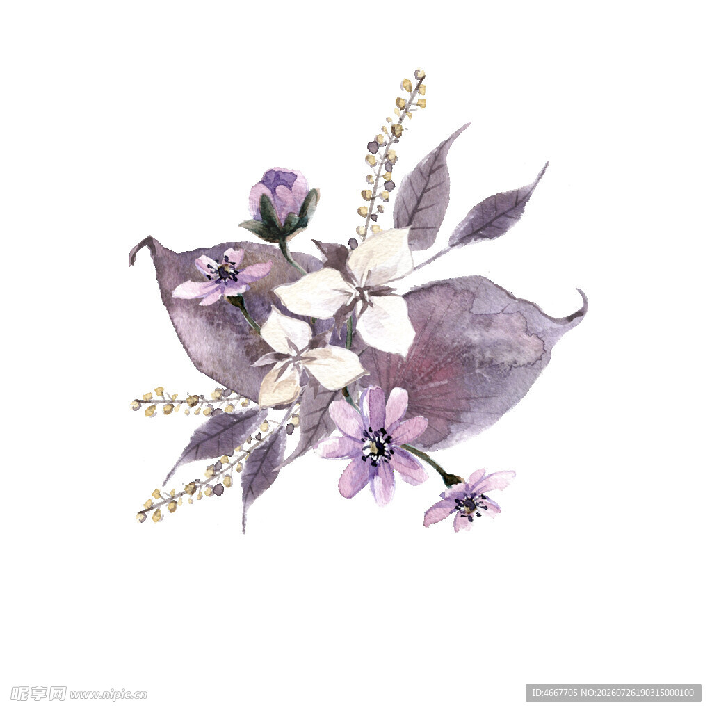 紫色花卉水彩插画