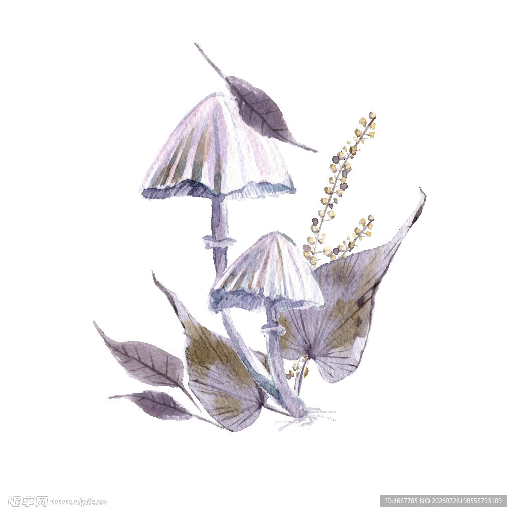 紫色蘑菇与枝叶水彩画