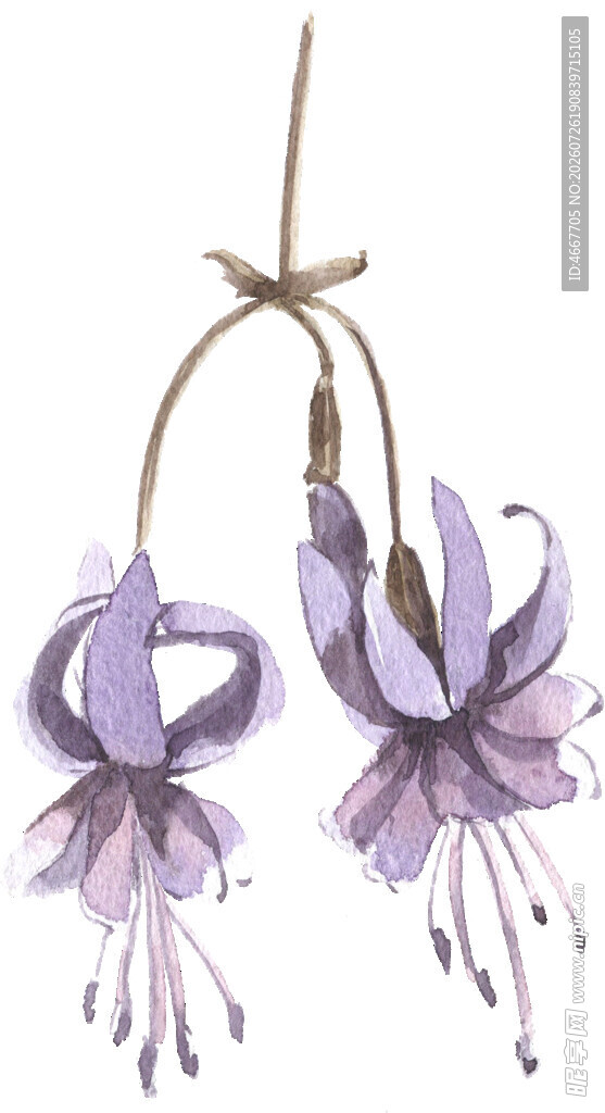 紫色悬挂花朵装饰